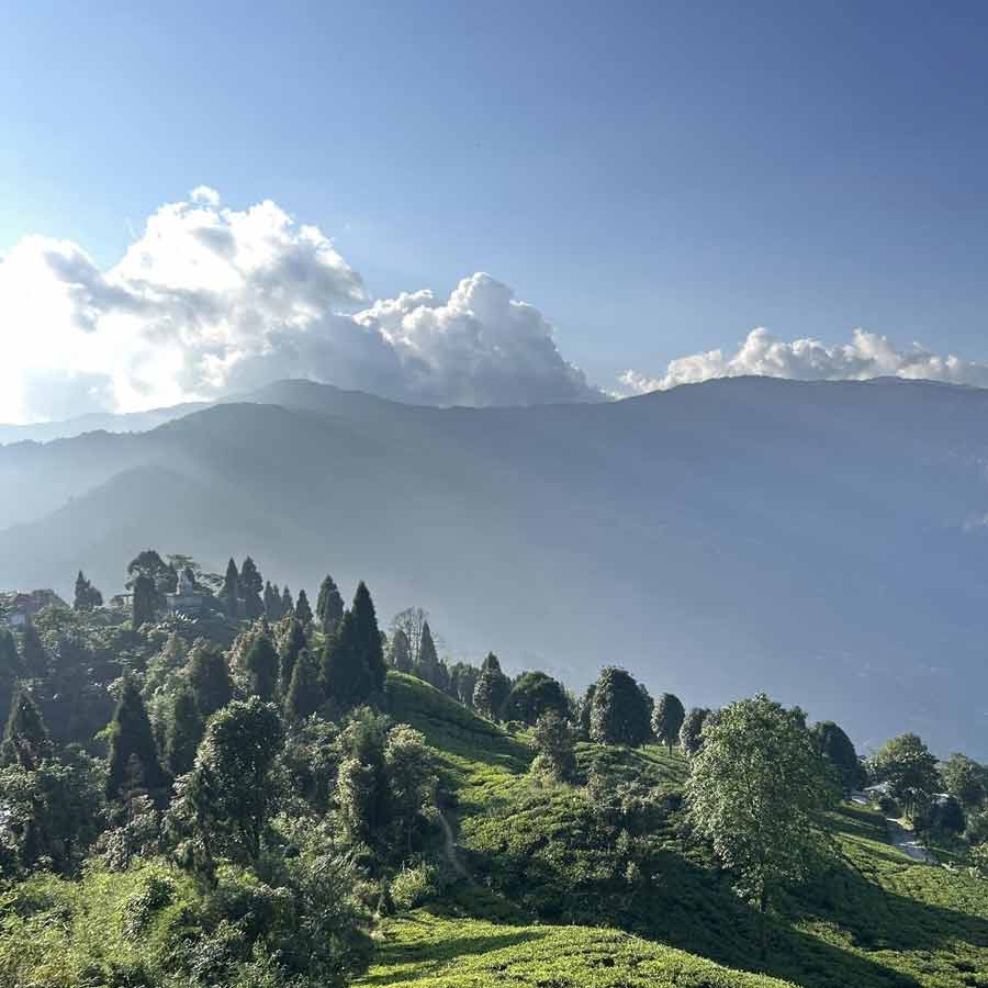 তুরুকে সবুজ ঘেরা আঁকাবাঁকা পাহাড়ি পথের বাঁকে বাঁকে অপার নির্জনতা ভেঙে দেয় পাখিদের কোলাহল।