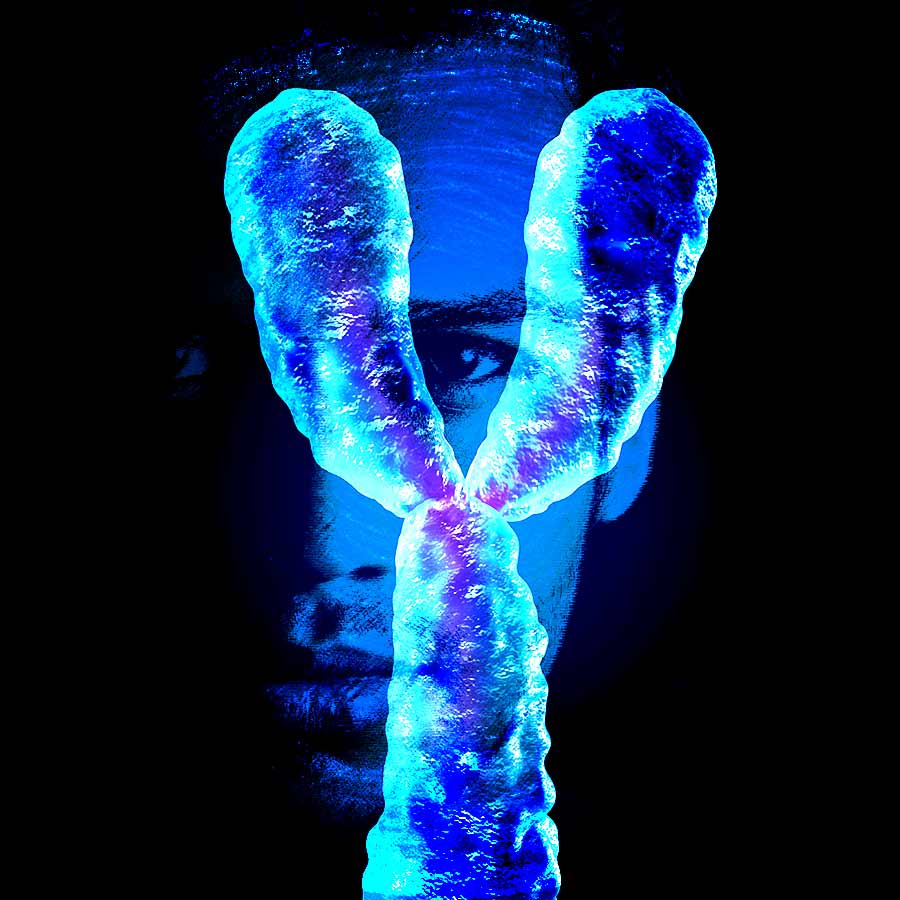 Y chromosome may be replaced by something else in human male genes