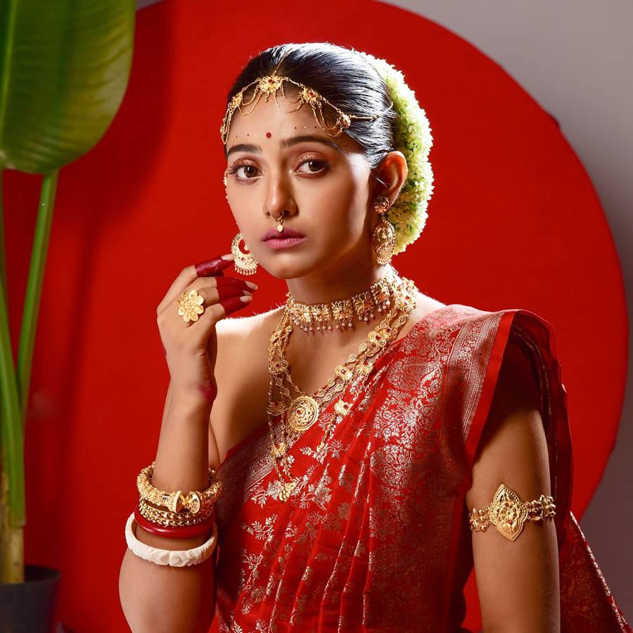 Bengali Television Actress Dipanwita Rakshit Doing Registry Marriage Very Soon dgtl