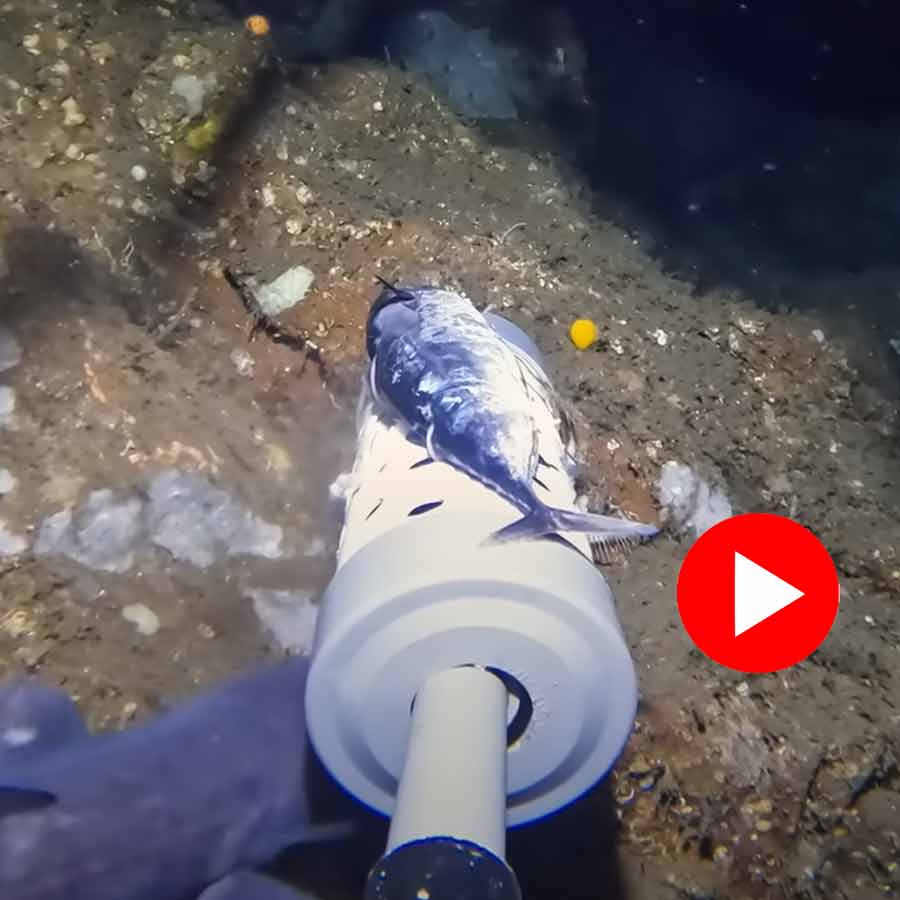 YouTuber drops camera in deep sea, captures stunning underwater video