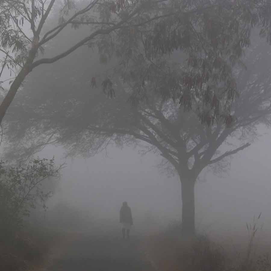 Coldwave alert in Six states in India dgtl