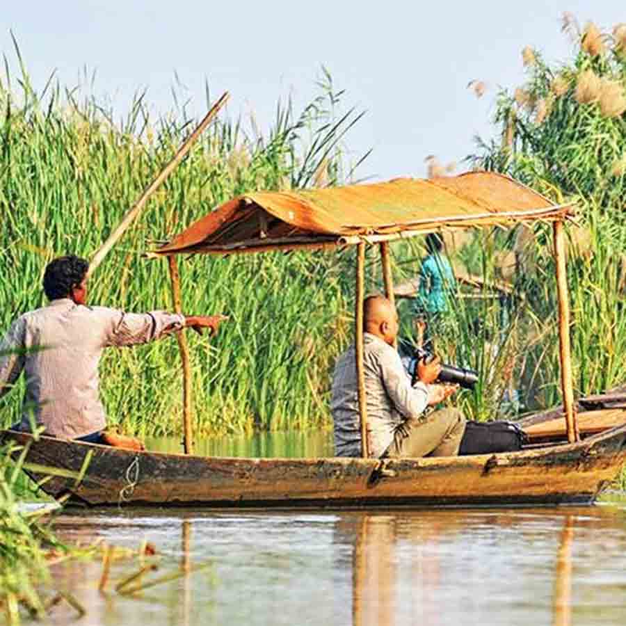 Winter and Spring is the season of Birdwatchers, ornithologists and Twitchers