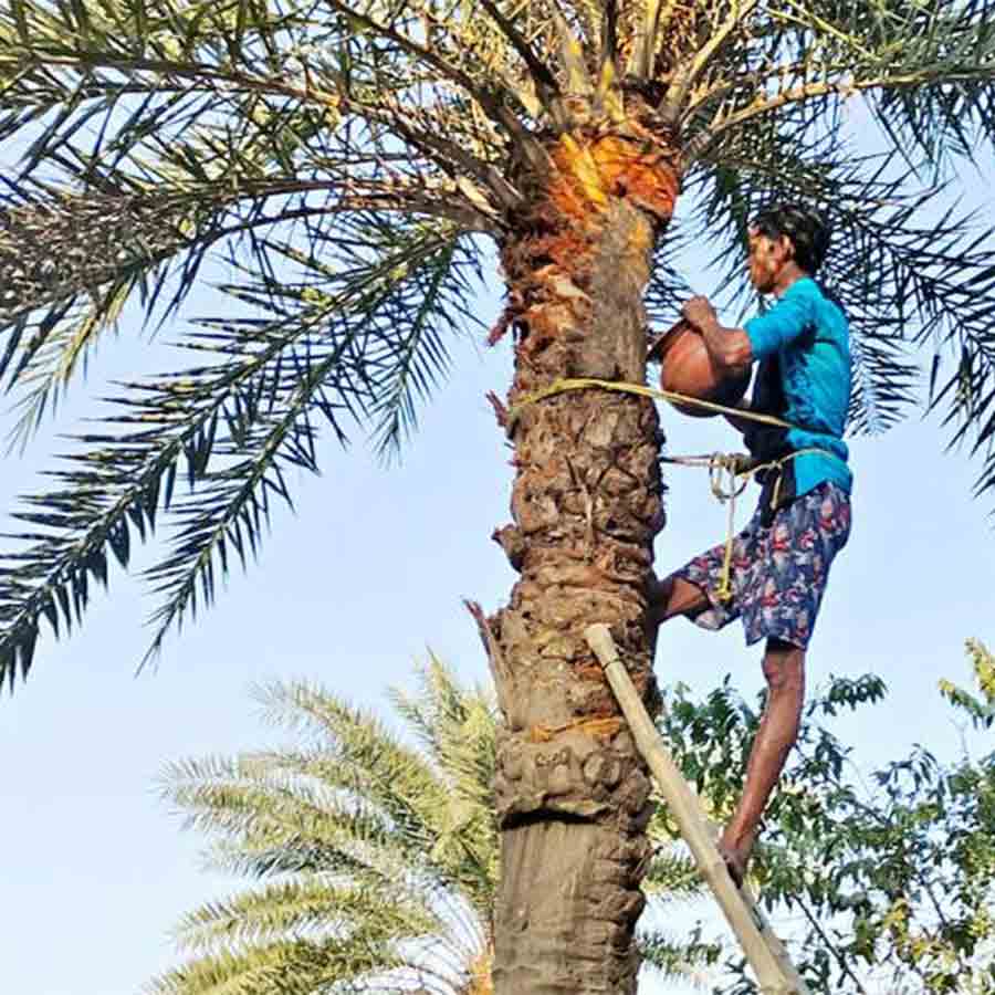 It is never possible to get good quality juice or molasses in tin containers or plastic jars