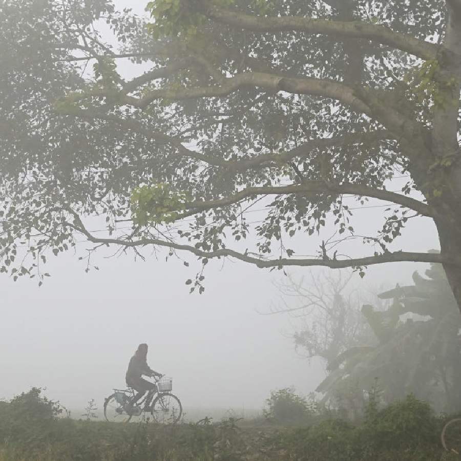 কুয়াশা পেরিয়ে সাইকেলে পাড়ি। বুধবার সকালে নদিয়ায়।