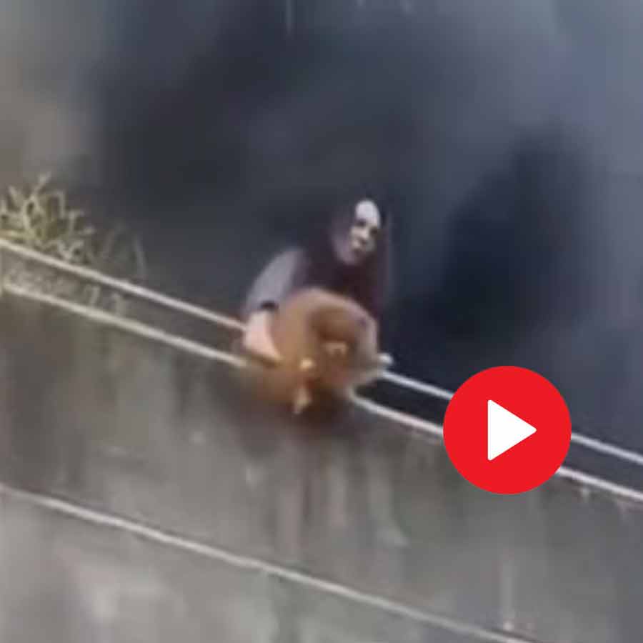 woman rescue her pet dog before escaping herself from fire