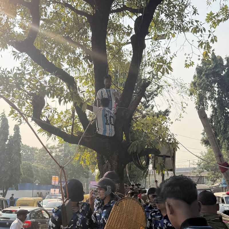 গাছে উঠে পড়েছেন দর্শকেরা।