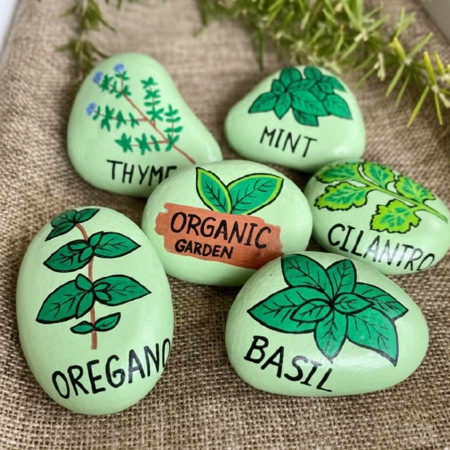 এই ভাবেও পাথর রং করে গাছের নাম লেখা যায়।