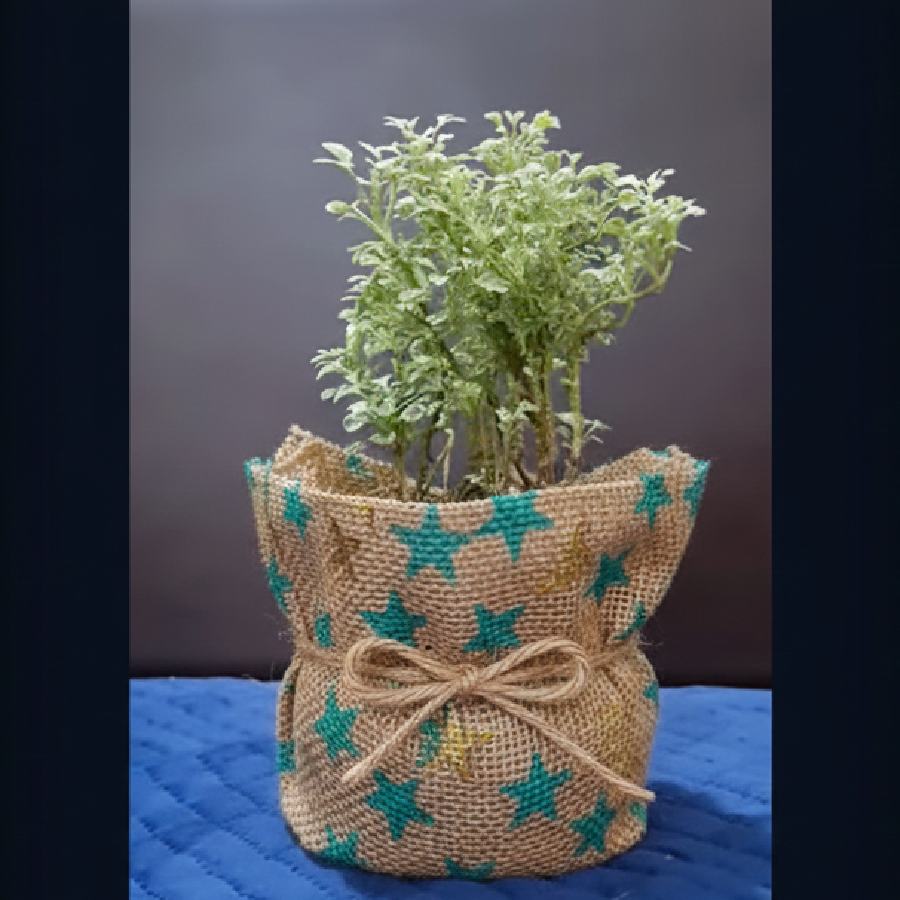 জুট ব্যাগ দিয়েও বাগান সাজানো যায়।