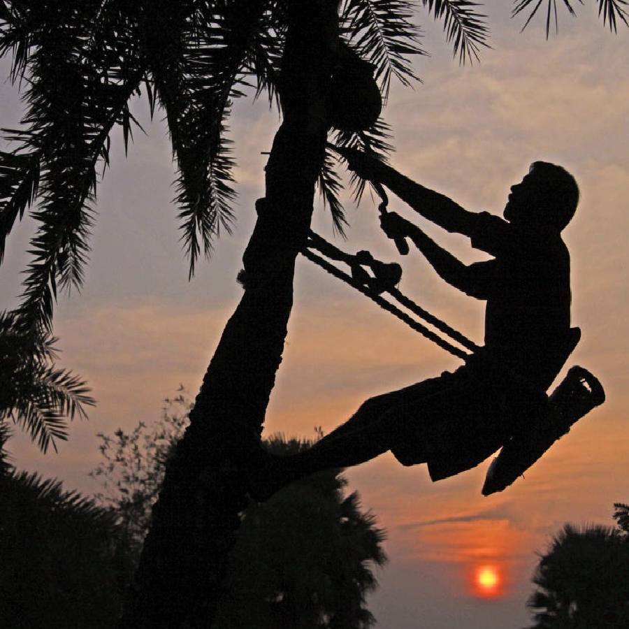 A new city area is emerging as coldest instead of Purulia and Jhargram in South Bengal dgtl