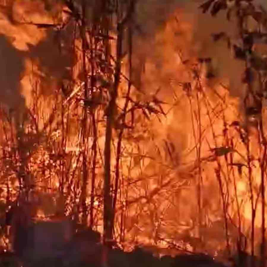 Wildfire rages in famed Nagaland Dzukou Valley for third day dgtl