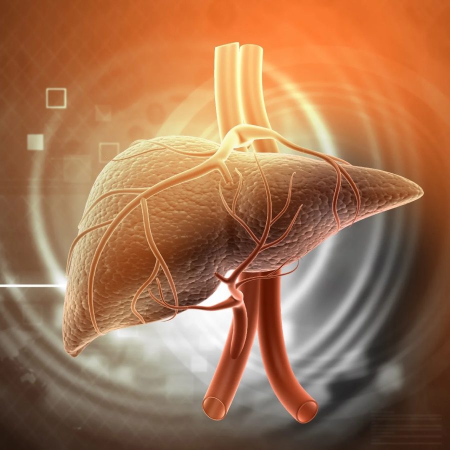 3 natural drinks which help to reverse the fatty liver problem fast dgtl