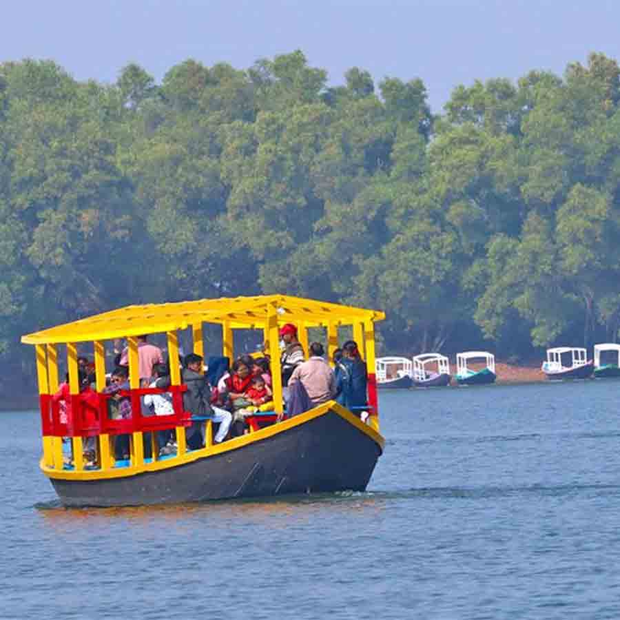 Complain of Poor Cleanliness and surveillance at Maithon