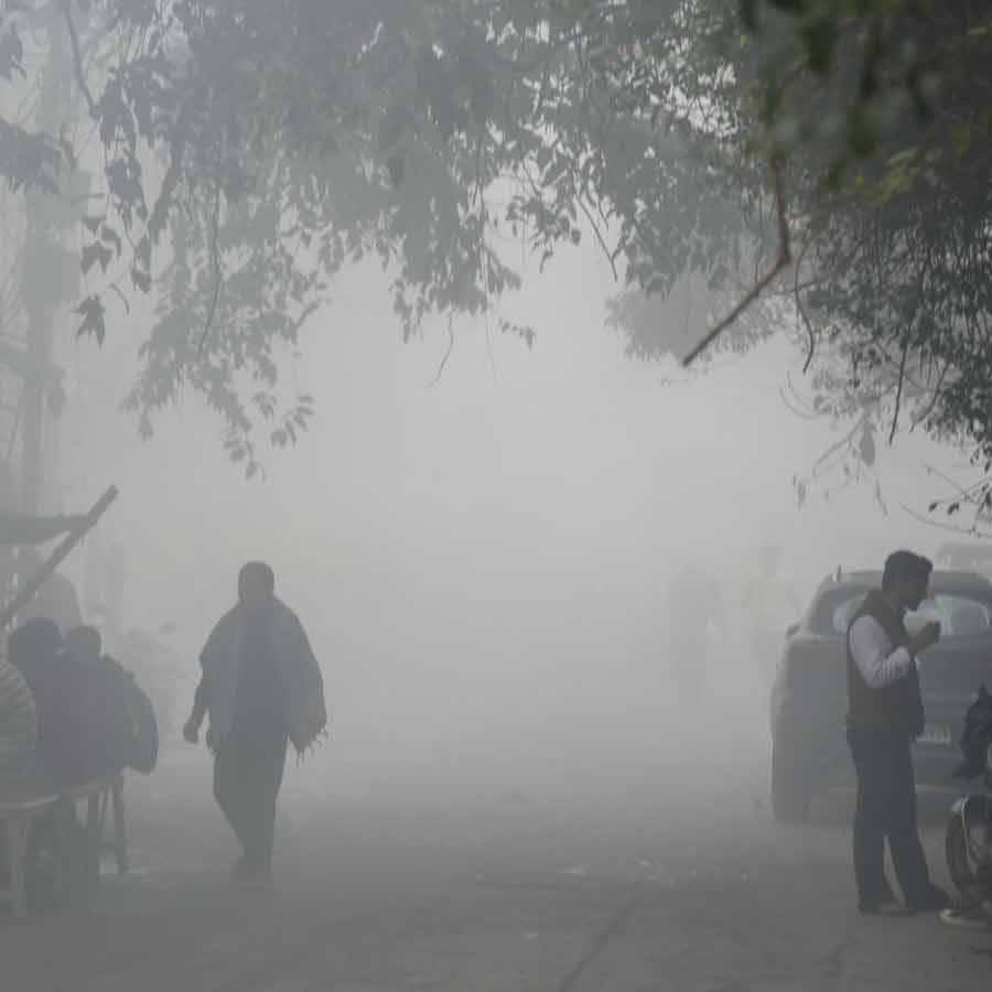 Delhi AQI remains severe, visibility drops due to thick layer of smog, flight services affected dgtl