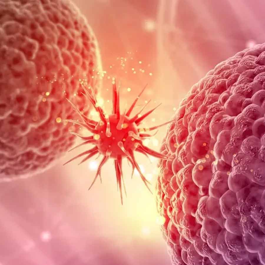 Scientific report warns that chemicals widely used in food production and packaging linked to Cancer, infertility