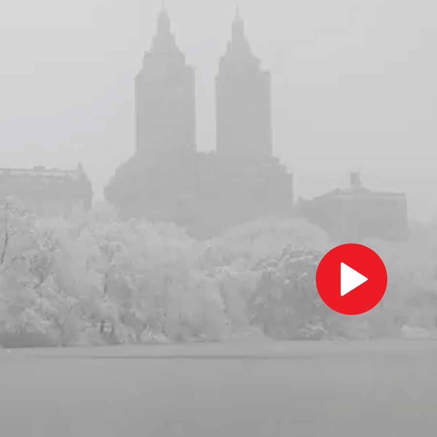 Video of first snowfall into New York Central Park turned into wonderland dgtl