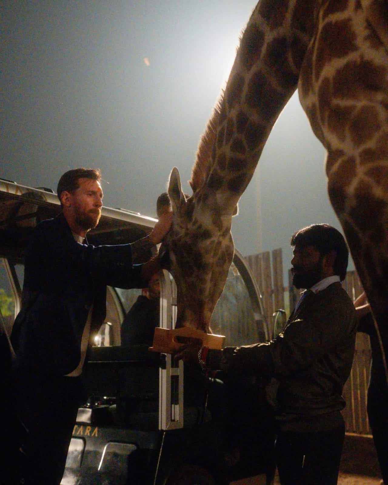 জিরাফের মাথায় হাত মেসির। 