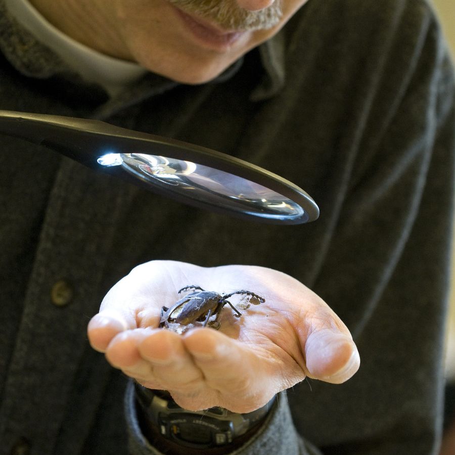 Uttarbanga Krishi ViswaVidyalaya is offering M.Sc. and PhD for Entomology and other agriculture based subjects Dgtl