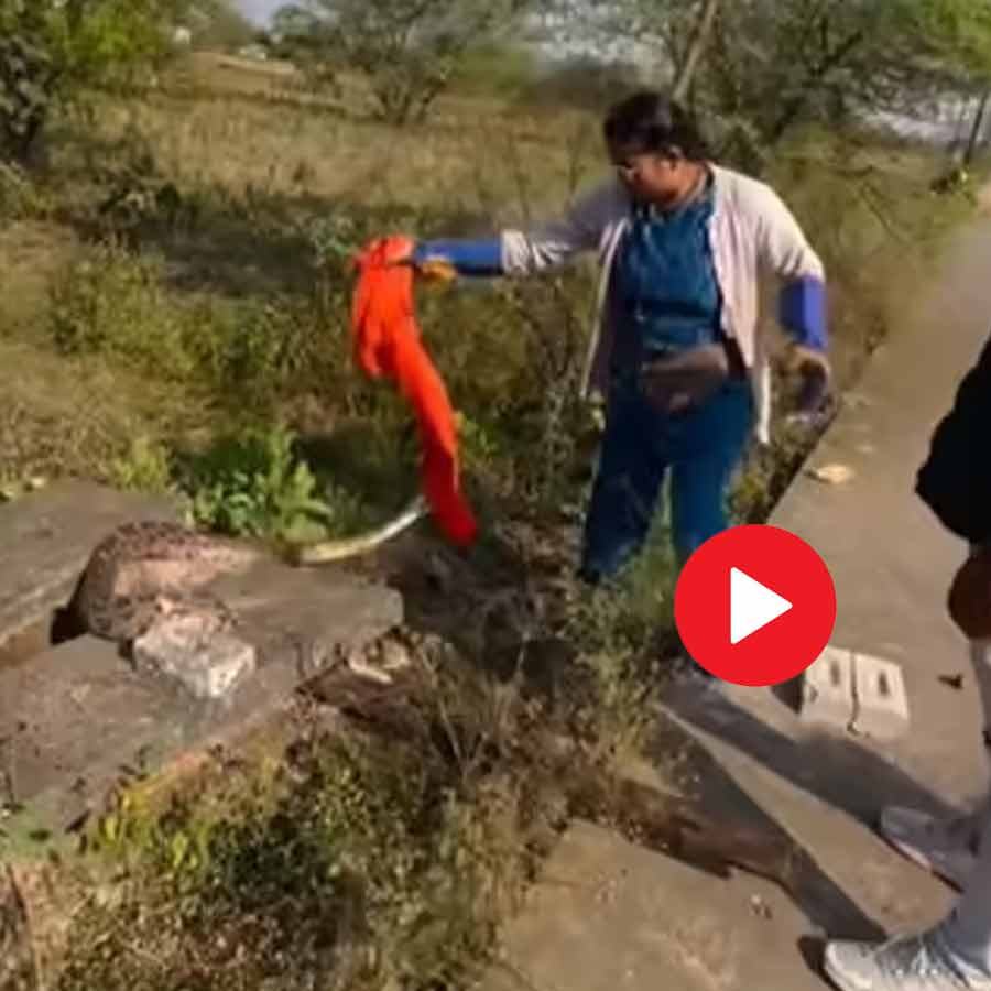 woman from Chhattisgarh catches a snake