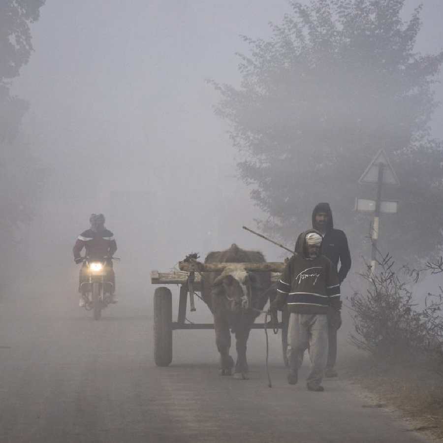 IMD issues dense fog, cold wave and snowfall warnings across north India dgtl