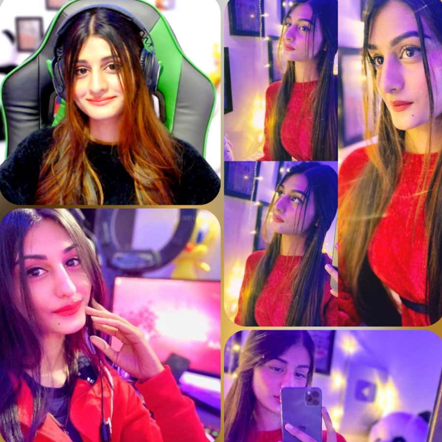 All you need to know about YouTuber Payal Gaming amid viral video controversy