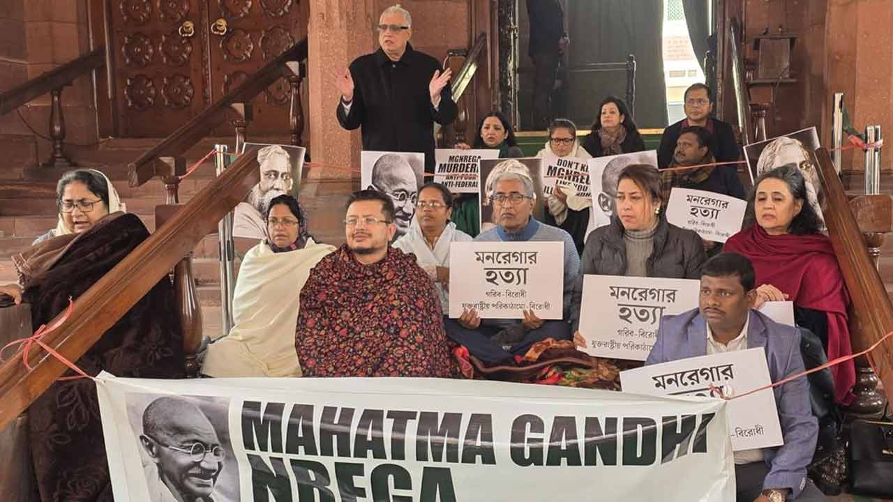 সংসদ চত্বরে প্ল্যাকার্ড হাতে ধর্নায় তৃণমূল সাংসদেরা। বৃহস্পতিবার রাতে।