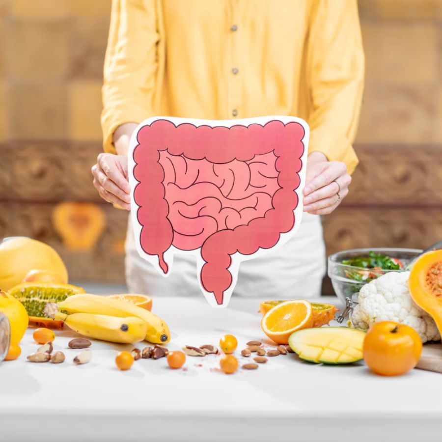 Between Probiotic and Prebiotic food which is better for your Gut health dgtl