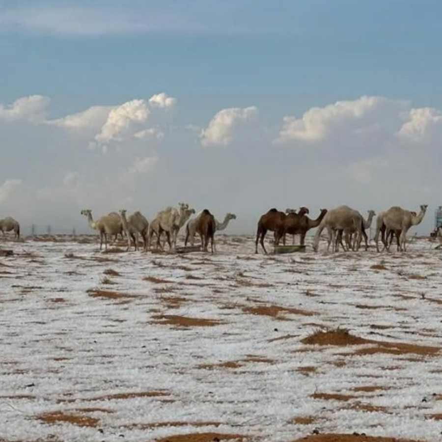 Snowfall in Desert