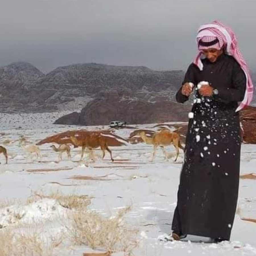 Snowfall in Desert