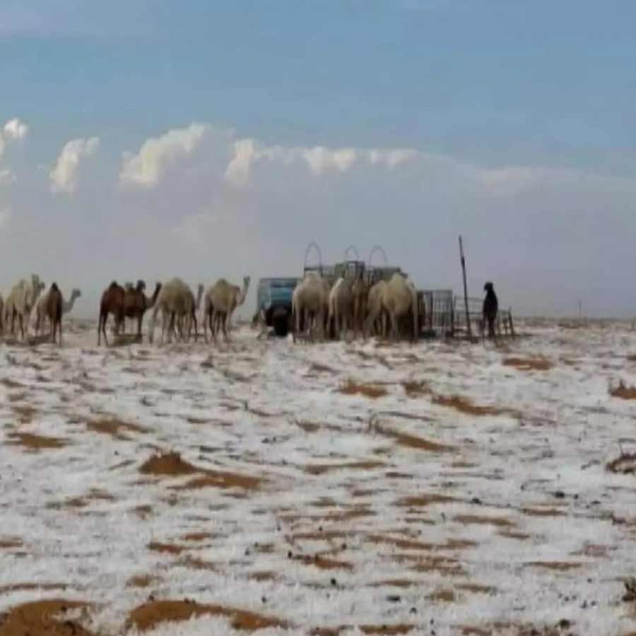 Snowfall in Desert
