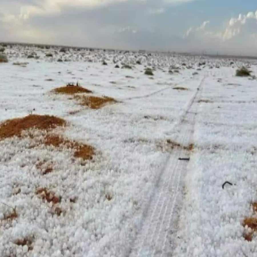 Snowfall in Desert