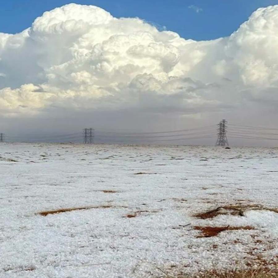 Snowfall in Desert