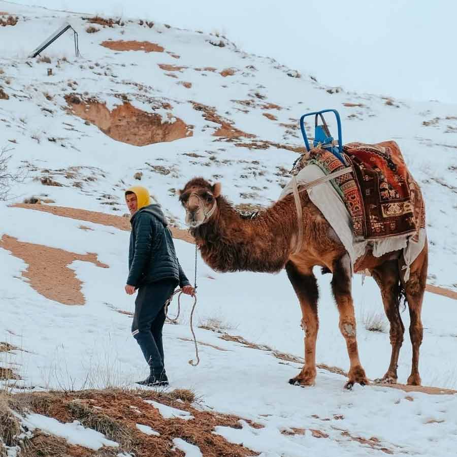 A rare Snowfall in Saudi Arabia