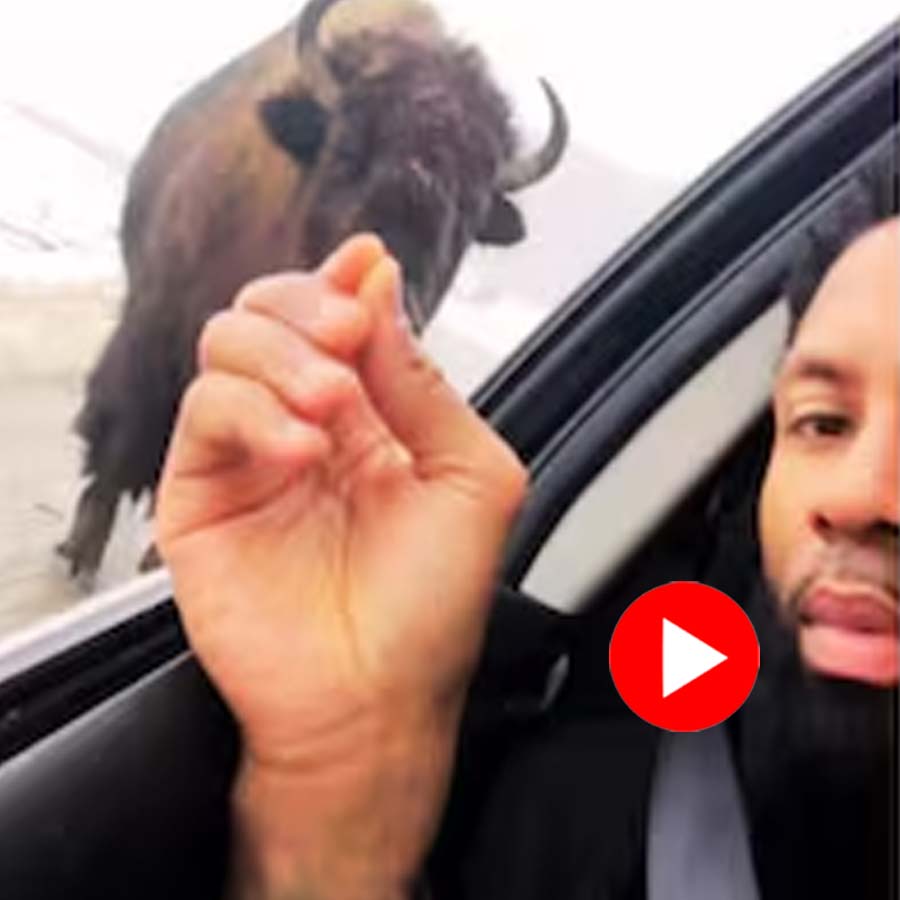 Video shows close encounter between man and a wild buffalo