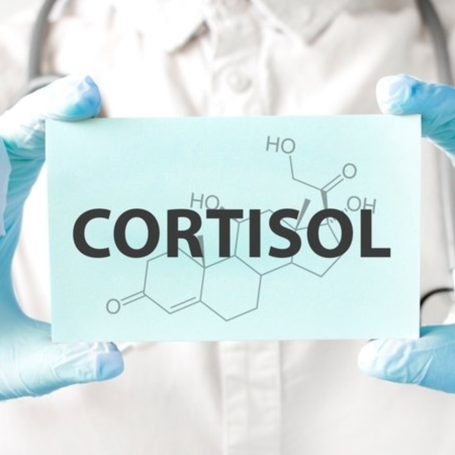 কর্টিসল অর্থাৎ স্ট্রেস হরমোন।