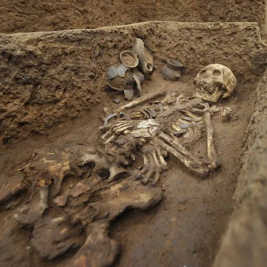Scientists found earliest DNA evidence to date of a father-daughter pairing dgtl