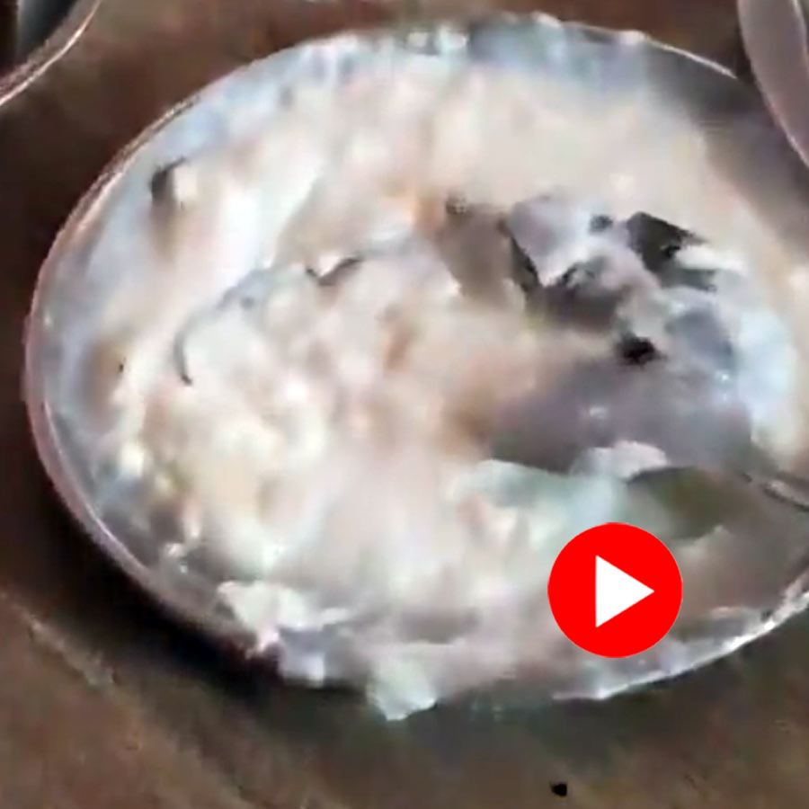 Massive rat found in curd in UP’s Ghazipur, dhaba sealed after video went viral dgtl