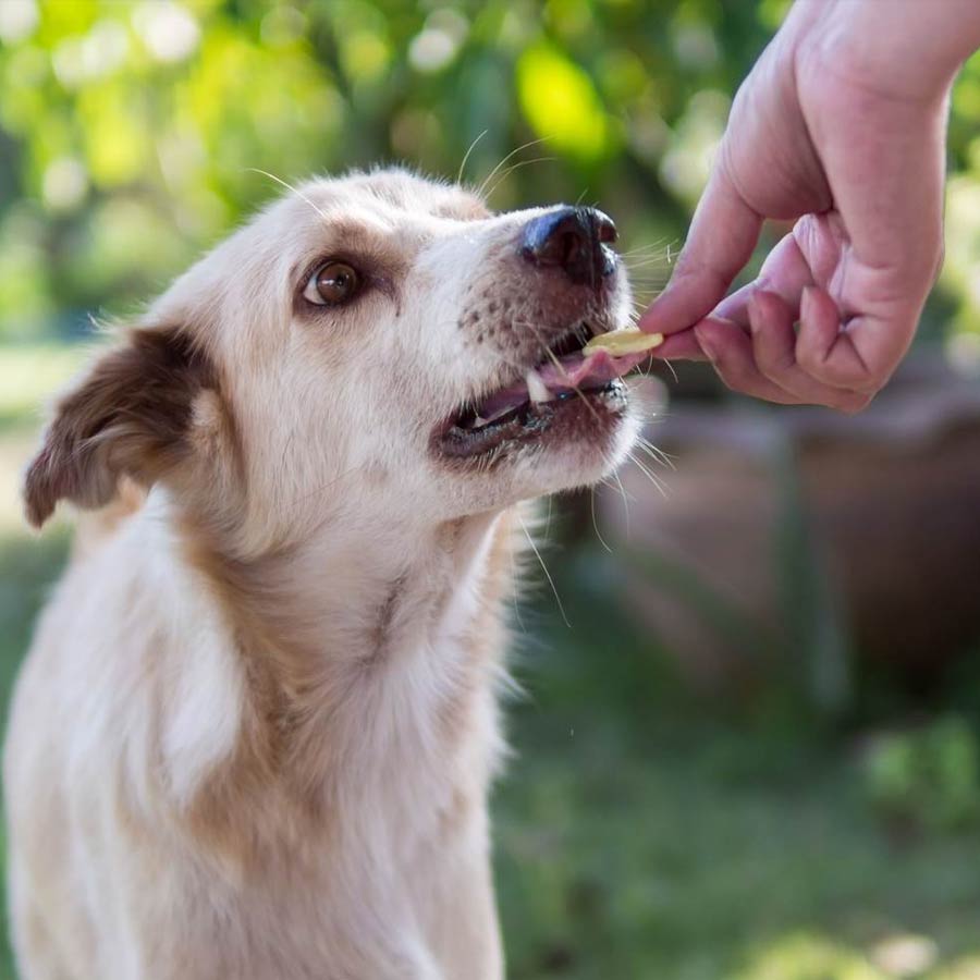 remedies to attract money