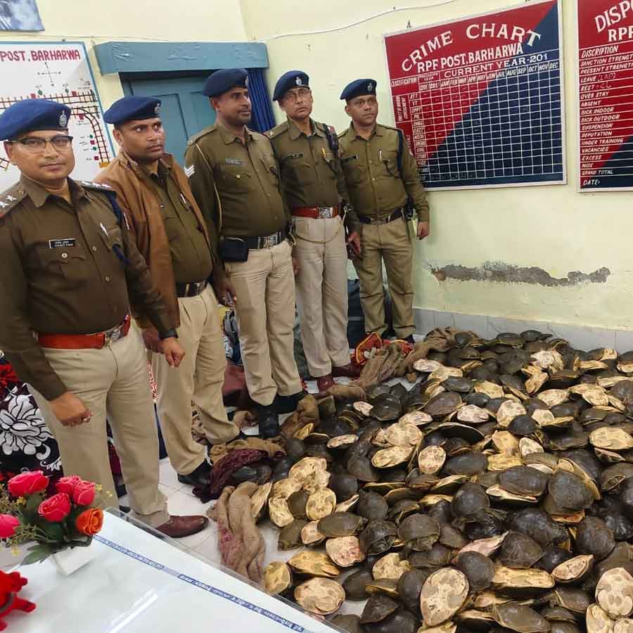 RPF rescues 790 turtles in Malda division