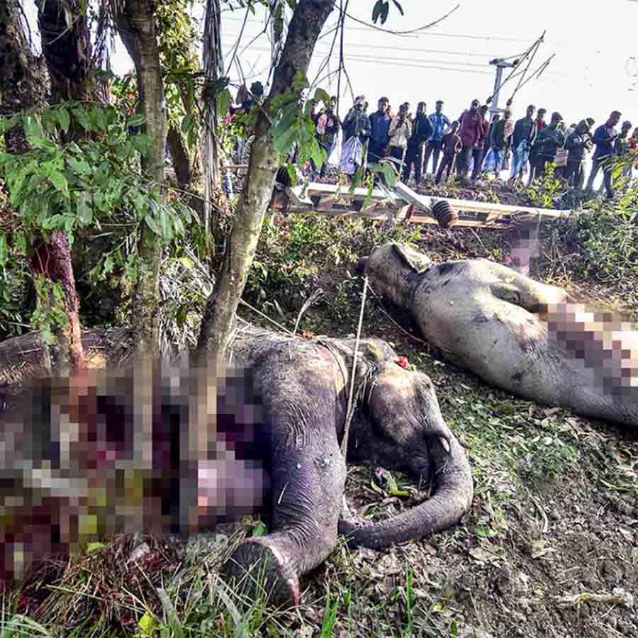 Sukhendu Sekhar Roy wrote a letter to Ashwini Vaishnaw regarding animal safety