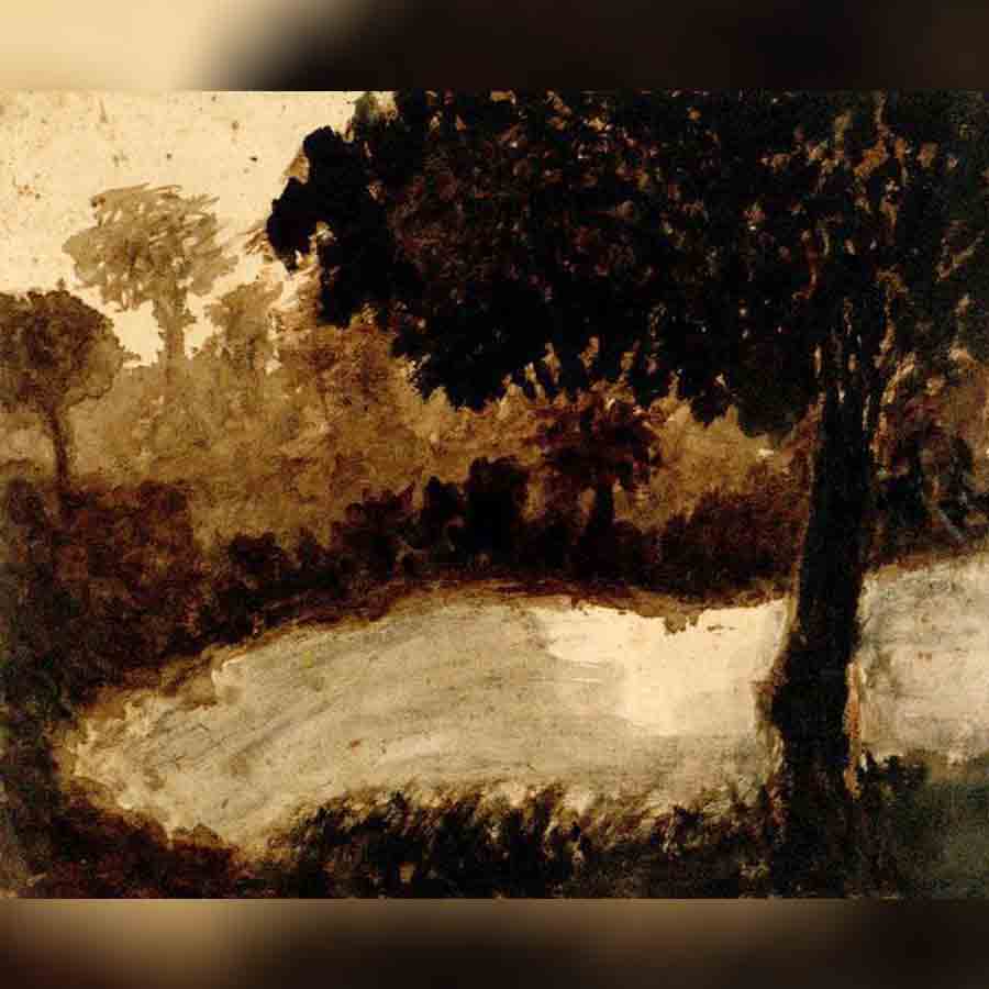 Winter noon described by Rabindranath Tagore