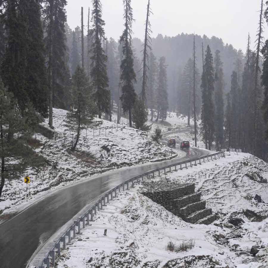 Season’s first snowfall in Kashmir, ends dry run dgtl