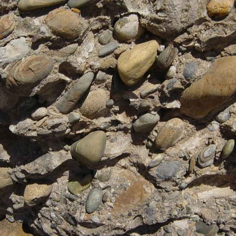 China’s shale oil production reaches 2 crore tonnes, a big concern for OPEC 