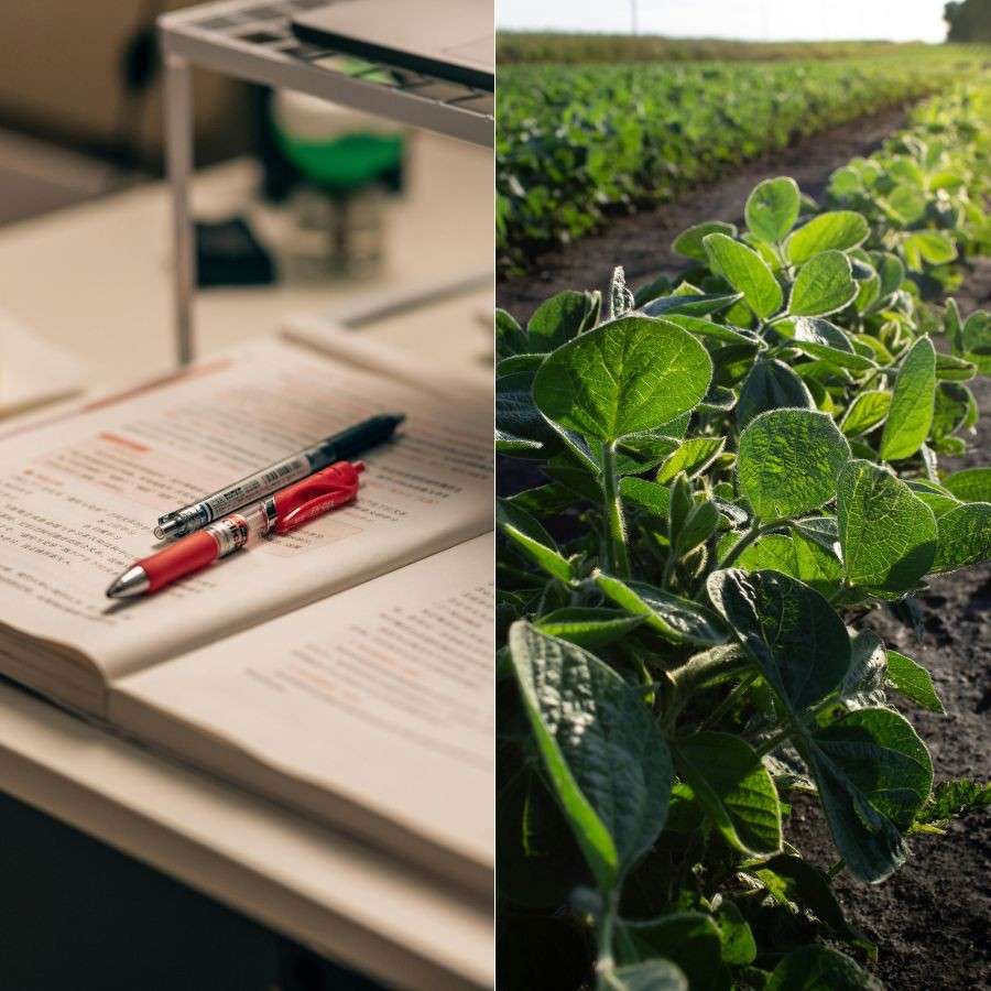 Eligible candidates can attend Final round of Counselling conducted by ICAR for academic session 2025-26 Dgtl