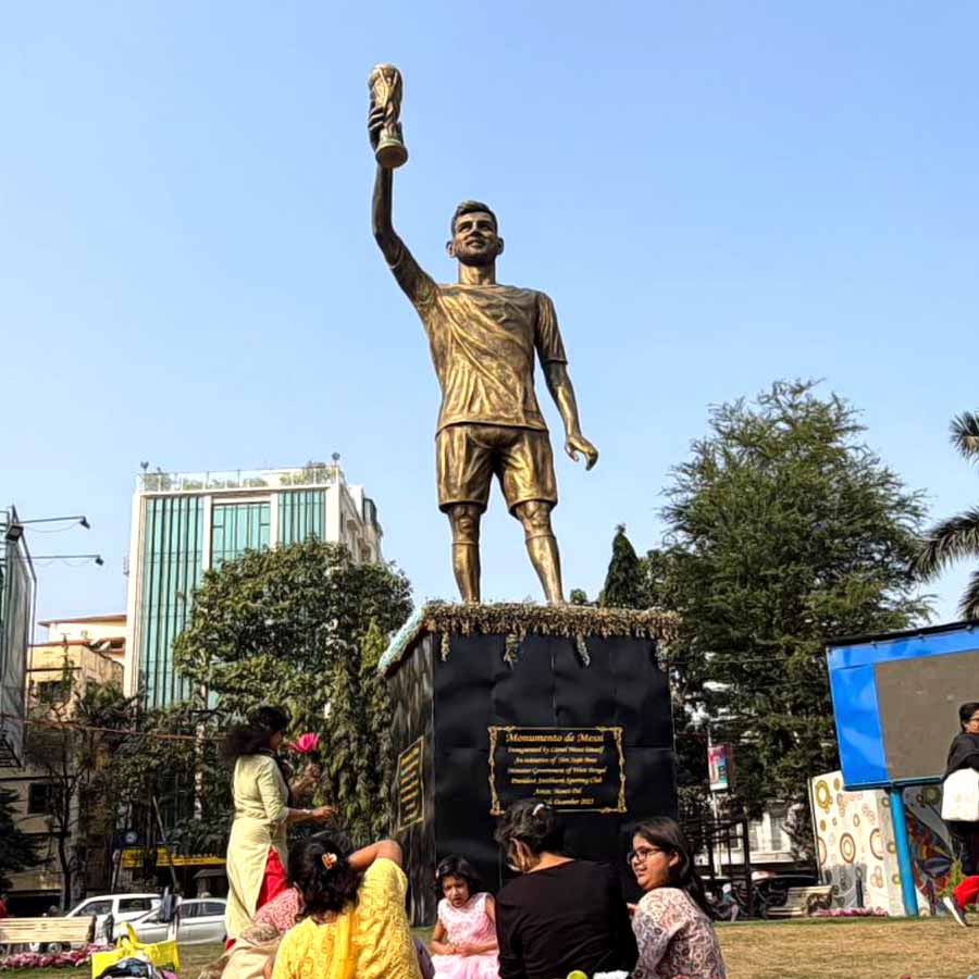 Who owns the land of Lionel Messi\\\'s statue in Laketown