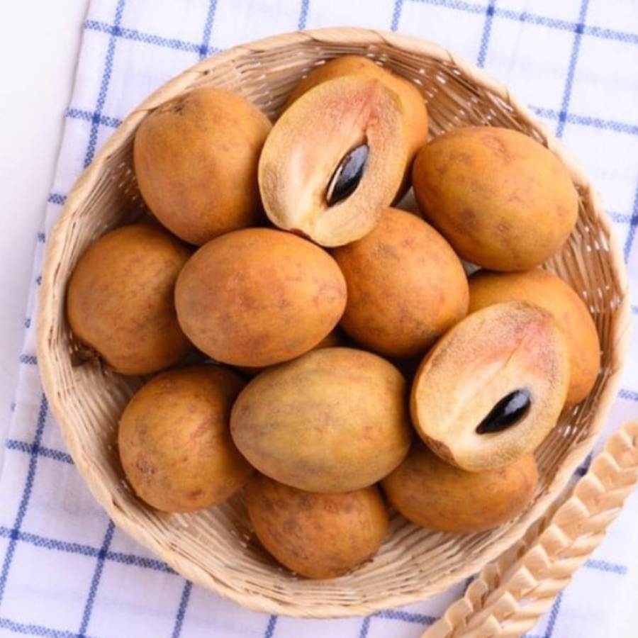 should you refrain from eating sabeda or Chikoo if you have diabetes dgtl