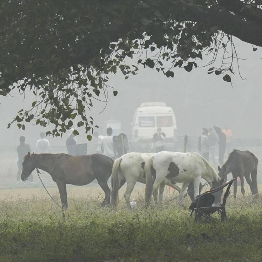 Kolkata temperature falls below 15 degrees, minimum temperature to fall further ahead of Christmas dgtl