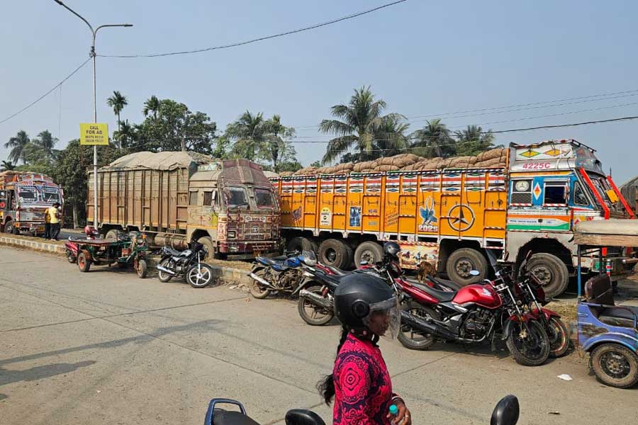 ঘোজাডাঙা সীমান্তে সার দিয়ে দাঁড়িয়ে বাংলাদেশি ট্রাক।