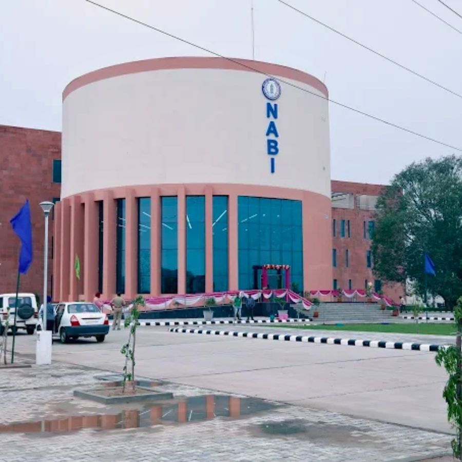 Engineering and Technology graduates and post graduates can become consultant in National Agri-Food and Biomanufacturing Institute Dgtl