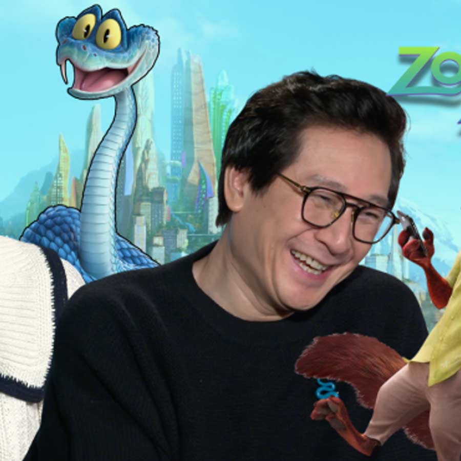 Buying Venomous Snakes In China