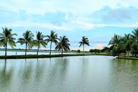 ঘুরে নিতে পারেন আন্দুলপোতা।